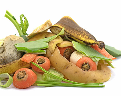 abfall_steinburg_entsorgung_bioabfall_box